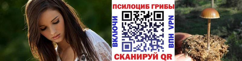 Галлюциногенные грибы прущие грибы  блэк спрут ТОР  Дубовка 