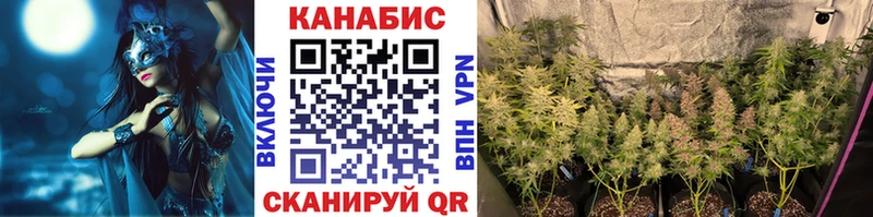 мега tor  Дубовка  Бошки Шишки THC 21%  дарнет шоп 